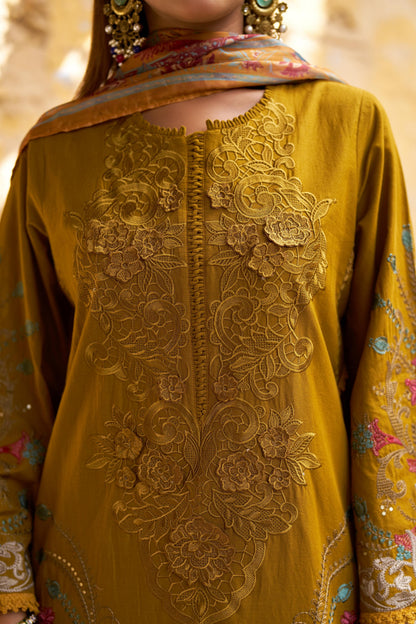 Pakistani Cutwork Designer Suit in Cotton
