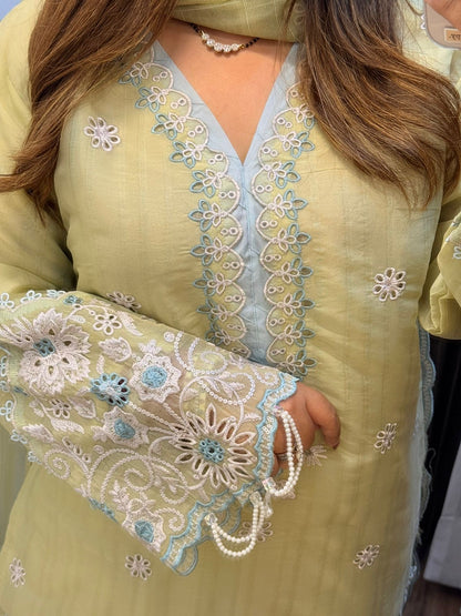 Pastel Pakistani Premium Suit with Cutwork Pants & pearl detailing